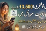 BISP Digital Wallet Registration 2026 Begins – Full Step-by-Step Guide