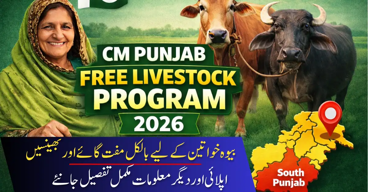 CM Punjab Free Livestock Program 2026 Offers Free Cows & Buffaloes