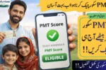 How to Check PMT Score by CNIC in 2026 – Official BISP Methods